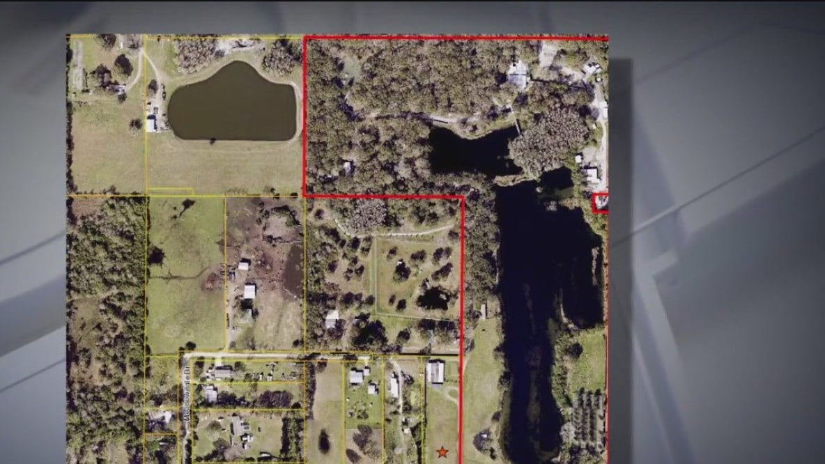 Developer buys portion of Big Cat Rescue